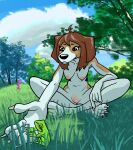 4_toes 5_fingers ahoge amphibian anthro beagle blue_sky branch breasts brown_body brown_fur brown_hair canid canine canis casual_nudity claws clitoris cloud countershading crossed_legs dappled_light day detailed_background domestic_dog feet female fingers flower frog fur genitals grass hair hieronymusjohnson hunting_dog leaning leaning_forward looking_down mammal nature navel nipples nude nude_anthro outside plant reaching_out scent_hound sitting sky solo sunny toes tree tree_frog vulva white_body white_fur