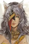  animal_ears eyepatch fire_emblem fire_emblem:_akatsuki_no_megami green_eyes lips long_hair nailah opiu silver_hair sketch solo wolf_ears 