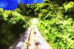 bad_id bad_pixiv_id balancing child dress forest light nature railroad_tracks sakutarou scenery shade solo sunlight tena_(teze) umineko_no_naku_koro_ni ushiromiya_maria walking 