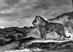  antoine-louis_barye digitigrade feline feral greyscale license_info lion looking_away male mammal mane monochrome paws public_domain quadruped solo standing traditional_media_(artwork) watercolor_(artwork) 
