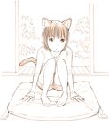  animal_ears barefoot cat_ears cat_tail monochrome original shorts sketch solo tail toes traditional_media yoshitomi_akihito 