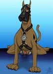  abstract_background animal_genitalia balls bondage_gear canine canine_penis dangerdoberman dog erection feral great_dane looking_at_viewer male mammal penis precum scooby-doo scooby-doo_(series) simple_background sitting solo 
