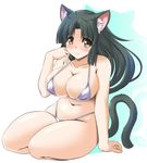  animal_ears bikini black_hair brown_eyes cat_ears cat_tail highleg highleg_bikini highleg_swimsuit long_hair milk_(tonpuu) original solo swimsuit tail tonpuu 