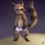  absurd_res barefoot boxer_briefs bulge clothed clothing digital_media_(artwork) digitigrade front_view furfit guardians_of_the_galaxy half-dressed hi_res looking_at_viewer male mammal navel one_eye_closed open_mouth penis_slip raccoon rocket_raccoon sharp_teeth signature solo teeth topless underwear underwear_pull wink 