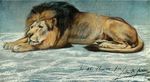  feline feral fur hi_res john_macallan_swan license_info lion male mammal mane pastel_(artwork) proper_art public_domain quadruped solo tail_tuft traditional_media_(artwork) tuft 