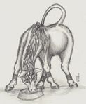  6dtp drinking equine female feral greyscale horn mammal monochrome pencil_(artwork) solo submissive traditional_media_(artwork) unicorn zerri 