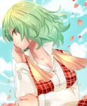  blush breast_hold breasts cleavage cloud cloudy_sky collarbone commentary_request day green_hair kazami_yuuka large_breasts looking_at_viewer nagare petals plaid plaid_vest profile red_eyes shirt short_hair sky smile solo touhou upper_body vest white_shirt 