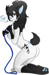  &lt;3 2015 alpha_channel black_hair blue_eyes blue_nipples blue_tongue breasts butt cat collar digital_media_(artwork) feline female fur gr0ssking hair kneeling leash mammal nipples nude rear_view simple_background solo sushi_(sushinomster) tongue tongue_out transparent_background white_fur 