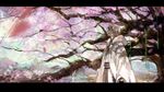  cherry_blossoms gloves grey_hair japanese_clothes letterboxed male_focus outdoors sinsora solo touken_ranbu tree tsurumaru_kuninaga 