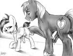  age_difference animal_genitalia anus balls big_macintosh_(mlp) butt cub duo equine erection featherweight_(mlp) friendship_is_magic horse horsecock jaxonian male male/male mammal my_little_pony pegasus penis wings young 