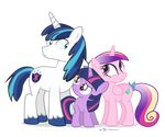  2015 alpha_channel blue_eyes blue_hair couple cutie_mark dm29 equine female friendship_is_magic group hair horn male mammal my_little_pony princess_cadance_(mlp) purple_eyes shining_armor_(mlp) simple_background transparent_background twilight_sparkle_(mlp) unicorn winged_unicorn wings young 