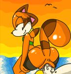  anus avian beach bird clothing marine_the_raccoon miles_prower penetration perverted_bunny seaside shirt sonic_(series) vaginal vaginal_penetration 