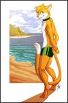  2015 beach cat clothing collar feline gothwolf green_eyes male mammal seaside summer swimsuit 