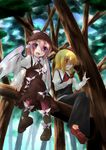  animal_ears blonde_hair dress eating forest hair_ribbon in_tree multiple_girls mystia_lorelei nature pink_hair purple_eyes red_eyes ribbon rumia sakura_yuuya short_hair sitting sitting_in_tree touhou tree wings 