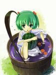  bad_id bad_pixiv_id bucket bucket_of_water food fruit green_eyes green_hair hair_bobbles hair_ornament hidebo holding holding_food holding_fruit in_bucket in_container kisume short_hair solo touhou twintails water watermelon wooden_bucket 