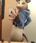  anthro anthrofied butt cellphone clothing edit female heather_(over_the_hedge) hoodie iphone mammal marsupial mirror_selfie opossum over_the_hedge oystercatcher7 phone photo_manipulation photomorph selfie 