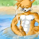  abs cum eyes_closed male miles_prower open_mouth penis rion solo sonic_(series) water 