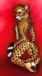  2015 anthro cheetah feline kneeling looking_at_viewer looking_back male mammal nude red_eyes solo spera 