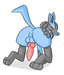  3_toes all_fours animal_genitalia anthro anus backsack balls blue_fur butt canine canine_penis erection fur gloves_(marking) knot looking_at_viewer looking_back lucario male mammal markings nintendo pcred566 penis perineum pok&eacute;mon precum presenting presenting_hindquarters raised_tail red_eyes simple_background socks_(marking) solo spike spread_butt spreading toes video_games white_background 