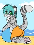  2015 anthro beach blue_hair chibi cute feline hair leopard male mammal outside seaside sevrah slushie-nyappy-paws snow_leopard solo 