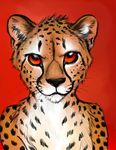  2015 cheetah feline male mammal nude red_eyes solo spera 
