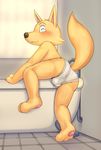  ^_^ anthro bath bathroom bigger_version_at_the_source blush bulge canine clothing eyes_closed fairwind fox fur inside male mammal paws rear_view smile solo underwear wet young 