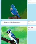  ambiguous_gender avian bird blue_jay doodle_or_die necklace 
