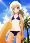  aksman animal_ears bad_id bad_tumblr_id bikini black_bikini blonde_hair blue_eyes blue_sky cloud day flat_chest helma_lennartz innertube long_hair navel one-piece_tan outdoors palm_tree sky solo swimsuit tan tanline tree world_witches_series 