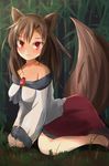  animal_ears blush brown_hair dress imaizumi_kagerou long_hair md5_mismatch red_eyes solo tail tendo touhou wolf_ears wolf_tail 