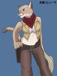  1girl artist_request cat copyright_request cowboy_hat cowgirl female furry hat solo translation_request western 