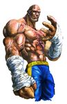  abs bald clenched_hand eyepatch hand_wraps male_focus muscle no_pupils sagat scar shirtless shopyun solo street_fighter 