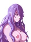  1girl breasts camilla_(fire_emblem_if) fire_emblem fire_emblem_if hair_over_one_eye long_hair looking_at_viewer naughty_face nipples purple_hair red_eyes shanabi simple_background smile solo 