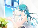  aqua_eyes aqua_hair dress hatsune_miku kamari_(kama_ri) long_hair plant smile solo twintails vocaloid white_dress window 