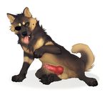  2015 animal_genitalia balls bearlyfeline canine canine_penis claws cum dog erection eye_patch eyewear feral fur german_shepherd knot looking_at_viewer male mammal nude penis simple_background solo teeth tongue williamca yellow_eyes 