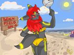  2009 anthro arthropod beach bikini black_fur butt clothing cloud crab crustacean eeveelution female fur hair kasedilla licorice_swirl looking_back marine nintendo outside pcaduck pok&eacute;mon red_eyes red_hair red_sclera seaside sign smile solo sun swimsuit umbreon video_games volleyball white_eyes 