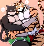  2015 abs anthro bearlovestiger13 biceps cat clothing feline male male/male mammal muscular nipples pecs tiger underwear 