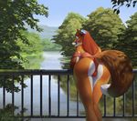  2015 anthro bent_over blue_eyes butt canine caraid clothed clothing female fence flower flower_in_hair fluffy_tail fox hair half-dressed looking_at_viewer looking_back mammal open_mouth panties plant presenting presenting_hindquarters red_hair river solo underwear water 