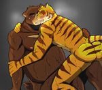  2015 abs anthro bear bearlovestiger13 biceps feline fur juuichi_mikazuki male male/male mammal morenatsu muscular muscular_male nipples pecs tiger torahiko_(morenatsu) 