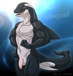  anthro balls biceps blowhole blue_background blue_iris cetacean claws digital_media_(artwork) dolphin dorsal_fin fin fist flaccid humanoid_penis leaning long_foreskin looking_at_viewer male mammal marine muscular nude open_mouth orca pecs penis rotarr sharp_teeth simple_background smile snout solo standing teeth tongue toumal uncut vein veiny_penis whale white_underbelly 