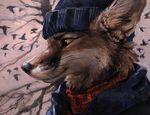  2015 anthro avian beanie bird brown_eyes brown_fur canine clothed clothing fox fur hat headshot_portrait jacket kenket male mammal portrait side_view smile solo sweater white_fur 