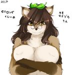  big_breasts breasts brown_hair cleavage clothed clothing crossed_arms eyewear female glasses hair japanese_text leaf looking_at_viewer mammal raccoon simple_background text white_background yellow_eyes yus-ts 