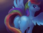  2015 anus butt cutie_mark equine feathered_wings feathers feral friendship_is_magic hair looking_at_viewer mammal multicolored_hair my_little_pony pegasus presenting presenting_hindquarters purple_eyes pussy rainbow_dash_(mlp) rainbow_hair solo viwrastupr wings 
