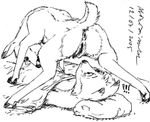  anthro anthro_on_feral anus bestiality butt canine cervine david_siegl deer female feral fox interspecies male male/female mammal monochrome predator/prey_relations presenting presenting_pussy pussy raised_tail spread_legs spreading young 