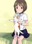  animal blush brown_hair calico cat collared_shirt green_eyes holding holding_animal holding_cat original shirt short_hair sitting skirt solo tan_(tangent) wristband 