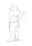  butt canine clothing fundoshi looking_at_viewer male mammal monochrome simple_background solo tail_person underwear white_background 