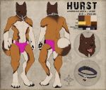  2019 4_toes abs akita anthro barefoot biceps biped black_claws black_nose brown_fur brown_tail bulge canid canine canis cedarwolf character_name claws clothed clothing collar color_swatch digital_media_(artwork) digitigrade domestic_dog ear_piercing fluffy fluffy_tail fur grey_background hurst male mammal model_sheet multicolored_fur multicolored_tail multiple_angles muscular muscular_male nipples open_mouth pecs piercing pink_tongue simple_background solo speedo standing swimsuit toe_claws toes tongue topless white_fur white_tail yellow_eyes 