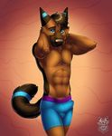  2015 abs anthro biceps blue_eyes bulge canine chest_tuft clothed clothing dog eeveelution erection fur german_shepherd hair half-dressed looking_at_viewer male mammal muscular muscular_male nintendo pecs pok&eacute;mon smile solo topless tuft underwear vallhund video_games 