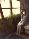  brown_eyes brown_hair highres indoors legs long_hair long_legs looking_at_viewer original overgrown red_flowers ruins shirt shorts solo t-shirt window 