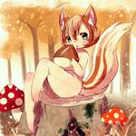  acorn artist_request brown_hair forest furry green_eyes nature open_mouth short_hair squirrel 