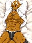  abs clothing collar dinosaur hands_behind_head horn lying male muscular open_shirt ryuukikeito scalie shirt solo underwear 